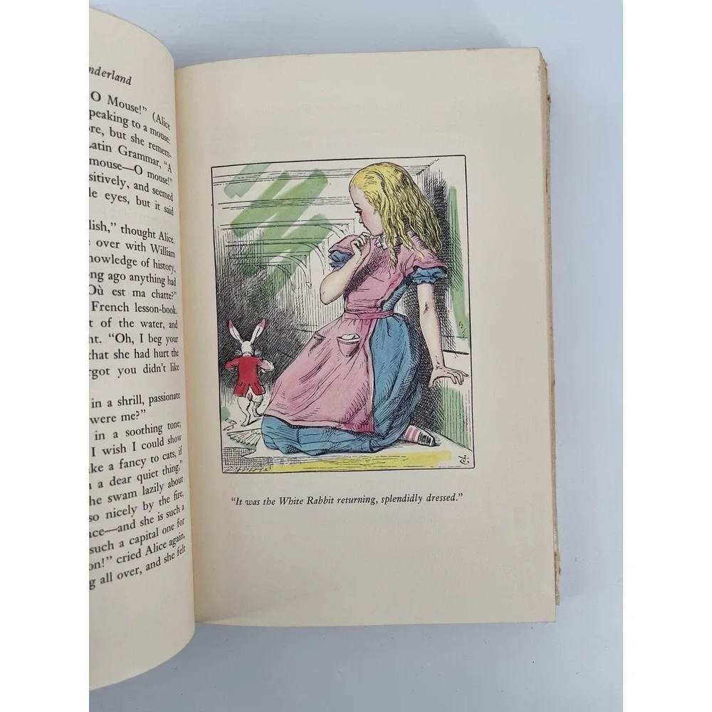 VTG Alice's Adventures In Wonderland & Through The Looking-Glass HC‎ 1963 USA